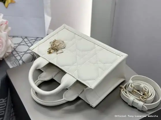 Tony Luxuries TOTE-21.5*13*7.5CM BOOK MINI diro 0501